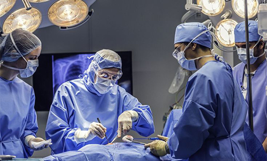 Professional medical support team