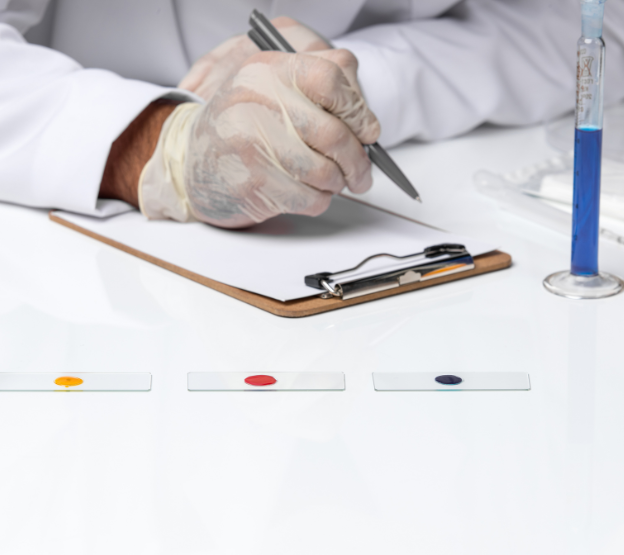 Diagnostic report results online